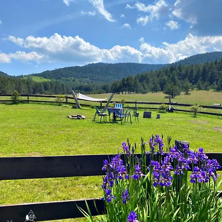 Tornik * ズラティボール